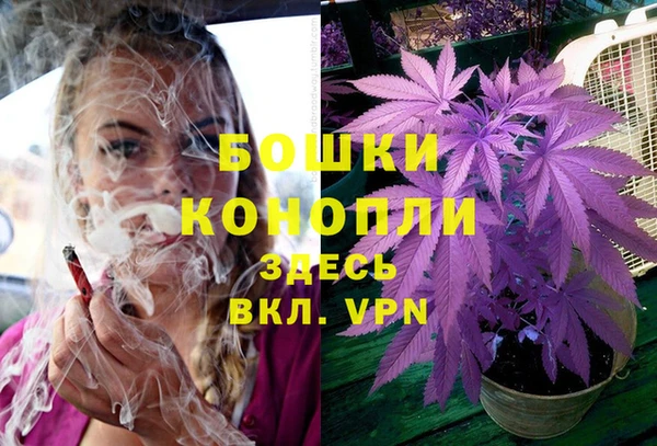 кокс Осташков