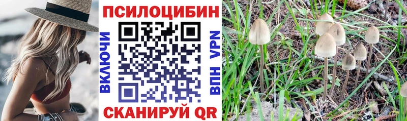 Псилоцибиновые грибы мицелий Обнинск