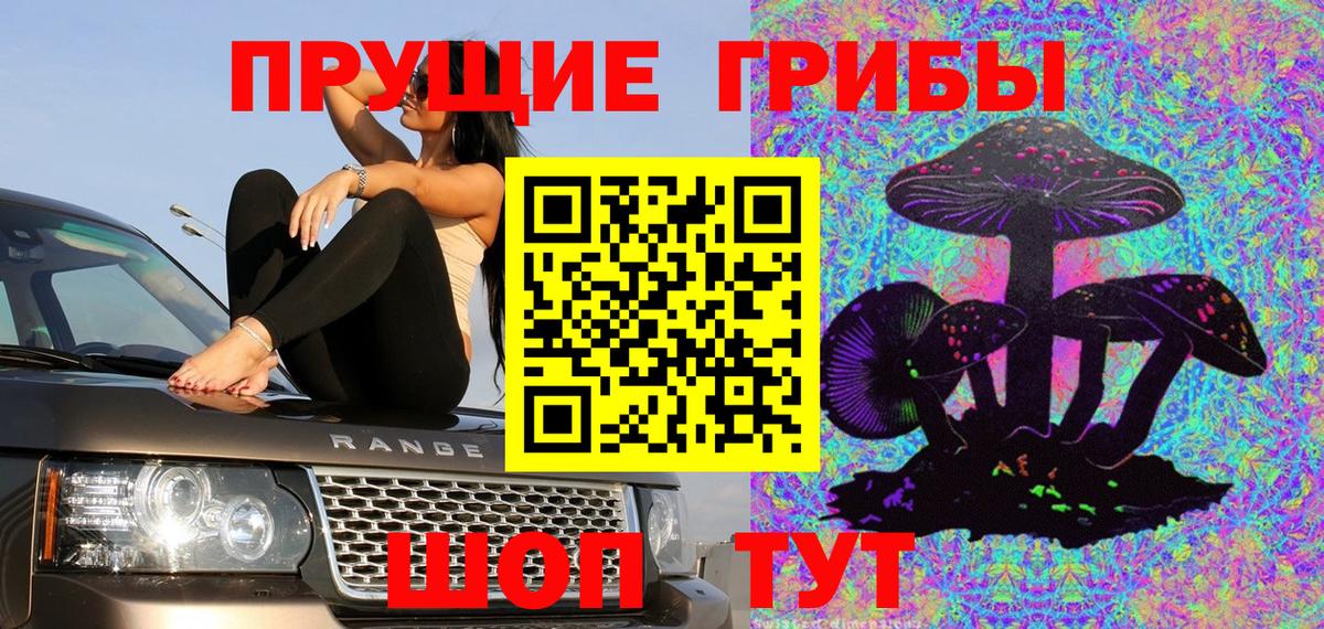 где купить наркотик  Галлюциногенные грибы мухоморы  Псилоцибиновые грибы Magic Shrooms  Вход с VPN  Обнинск 