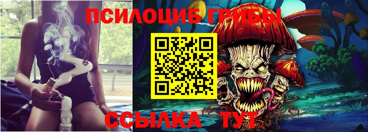 Галлюциногенные грибы GOLDEN TEACHER Обнинск